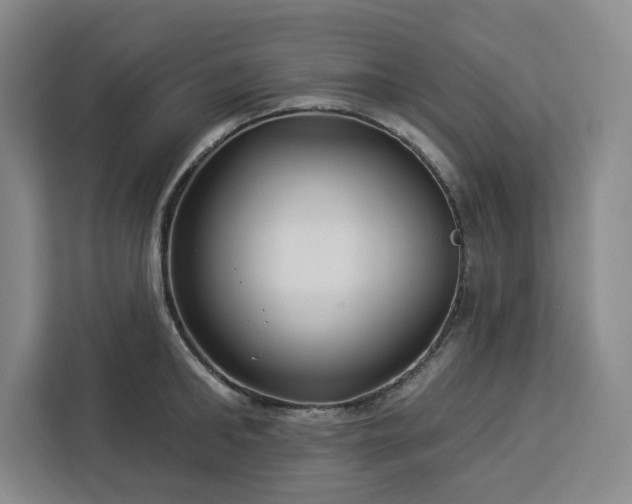 X0000112940902200908311447