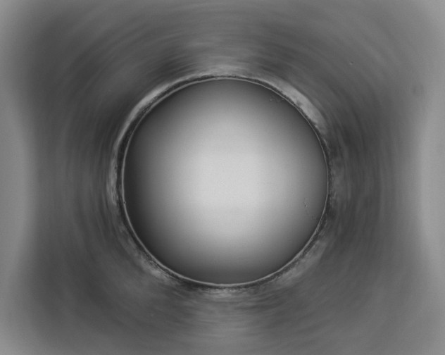 X0000112940904200908311447