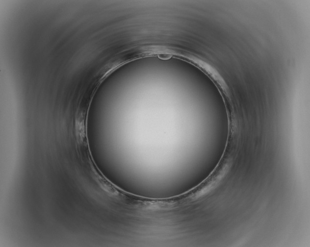 X0000112940905200908311446