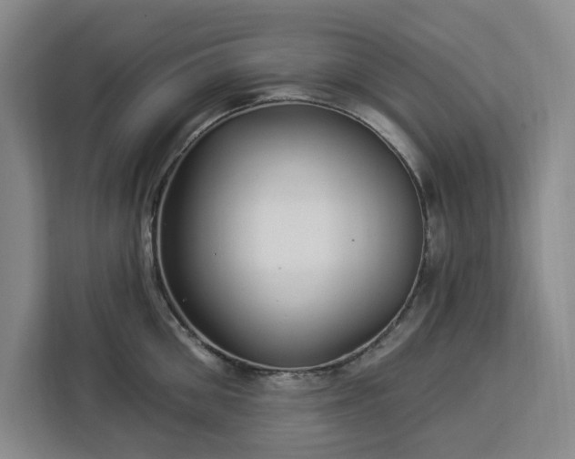 X0000112940906200908311446