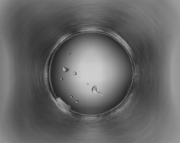 X0000112940909200908311446