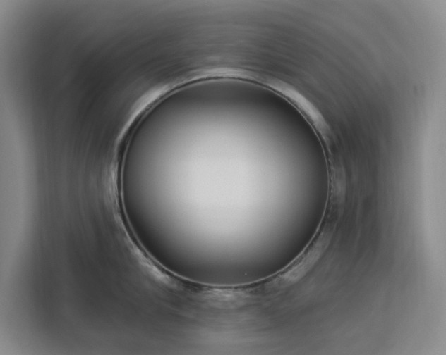 X0000112940910200908311446