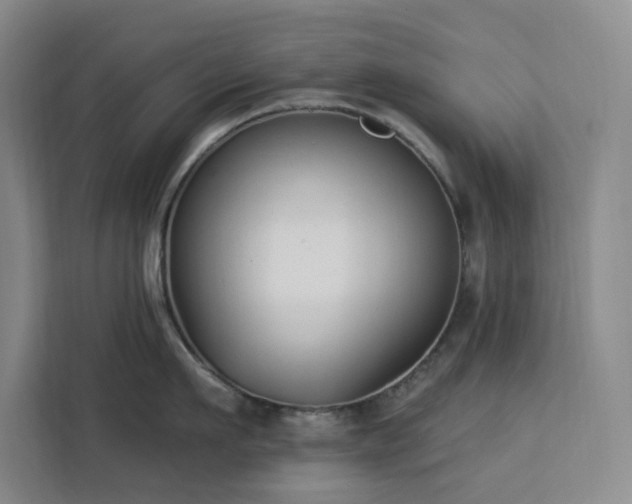 X0000112940911200908311446