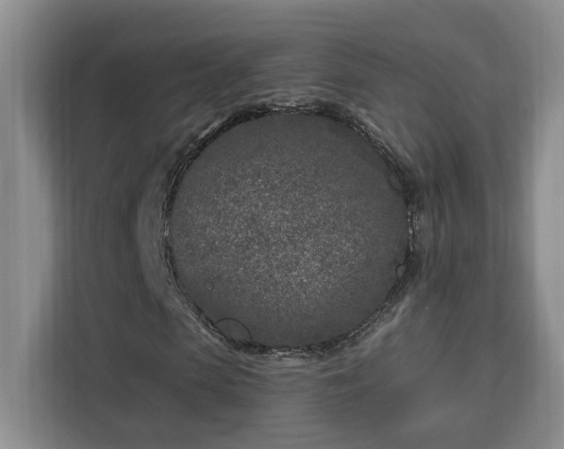 X0000112940913200908311446