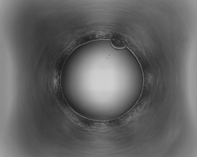 X0000112940914200908311446
