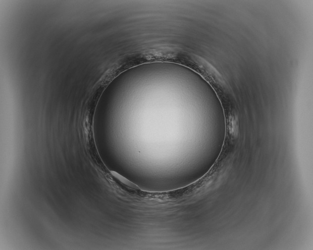 X0000112940915200908311446