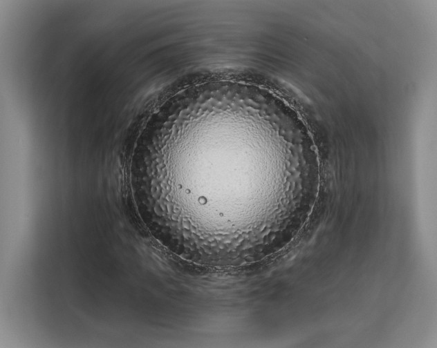 X0000112940917200908311446