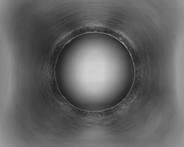 X0000112940919200908311446