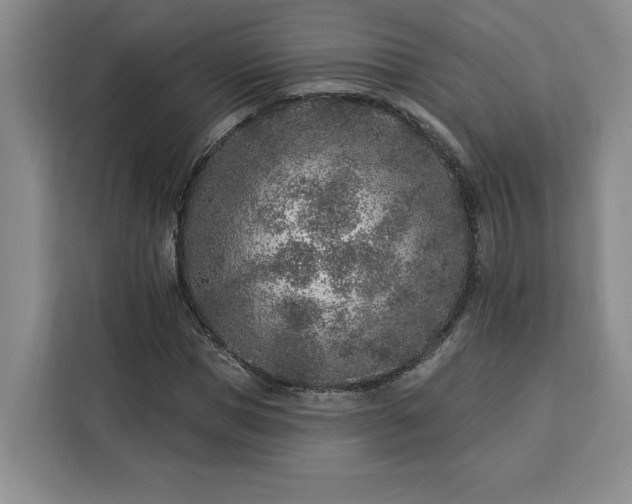 X0000112940921200908311446