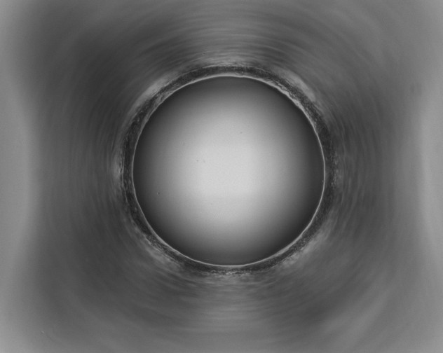 X0000112940922200908311446