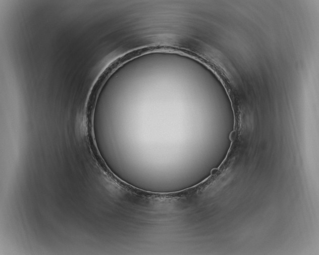 X0000112940924200908311446