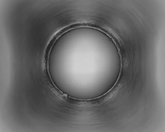 X0000112940927200908311446