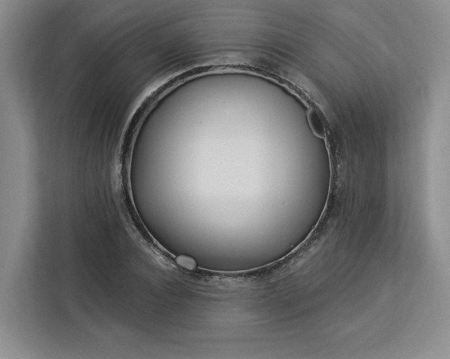 X0000112940928200908311446
