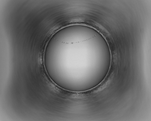 X0000112940929200908311446
