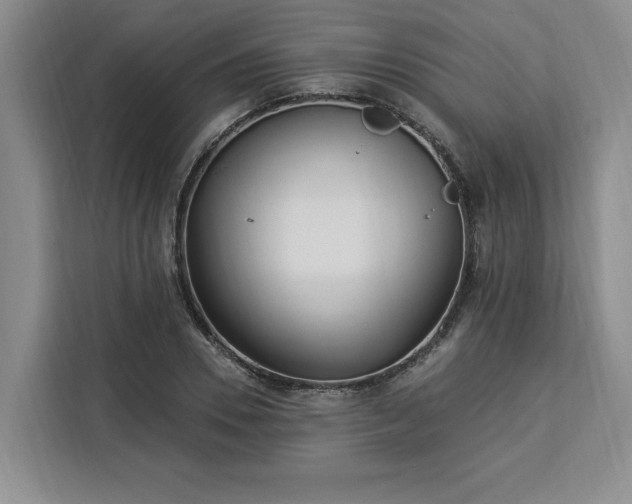 X0000112940930200908311446