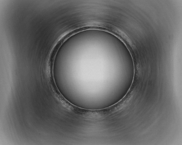 X0000112940931200908311446