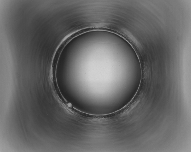 X0000112940932200908311446