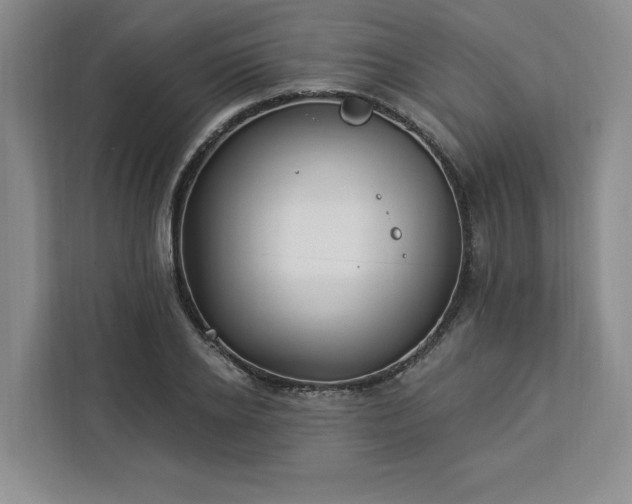 X0000112940934200908311446