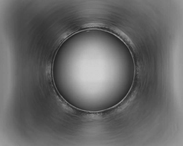 X0000112940937200908311446