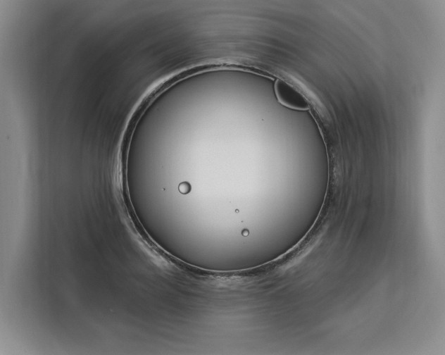X0000112940940200908311446