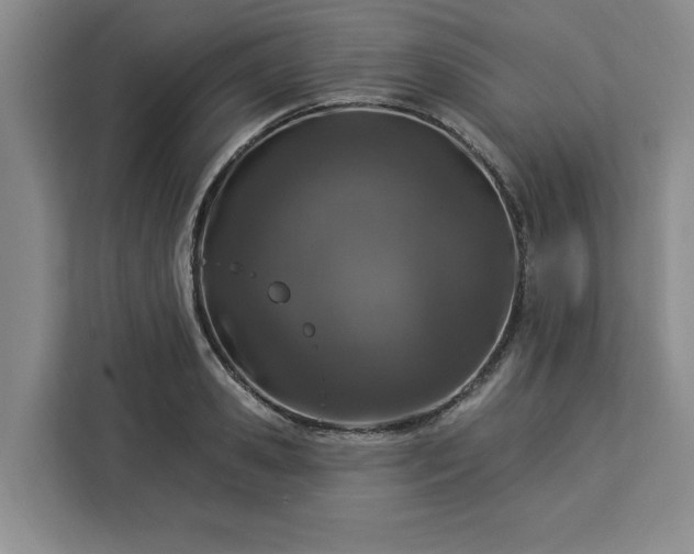 X0000112940941200908311446