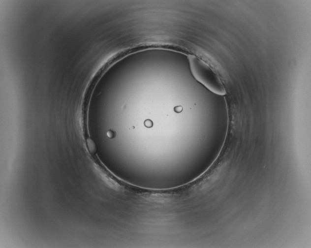 X0000112940942200908311446