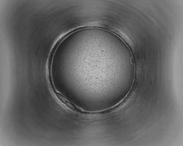X0000112940944200908311446