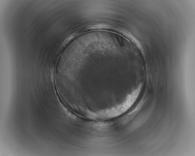 X0000112940945200908311446