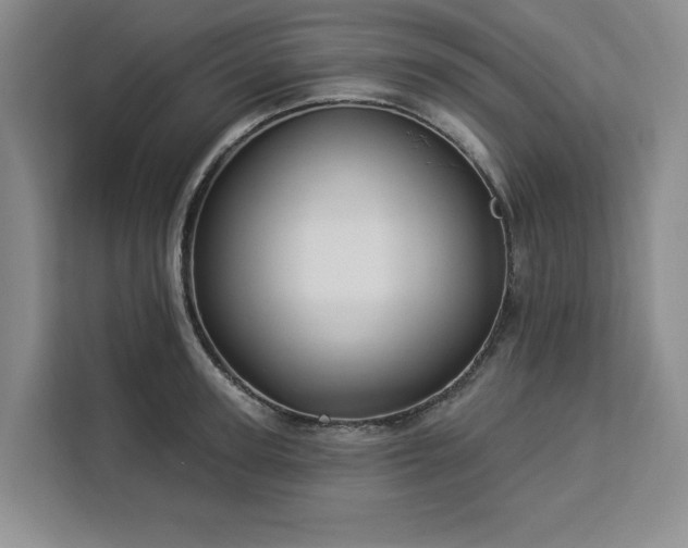 X0000112940947200908311446
