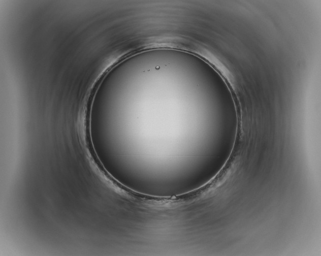 X0000112940949200908311446