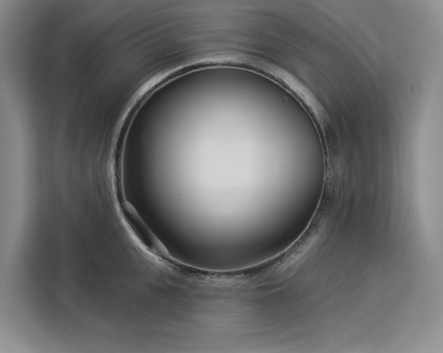 X0000112940951200908311446