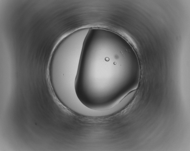 X0000112940952200908311446