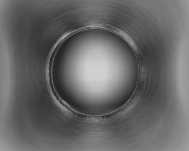 X0000112940955200908311446