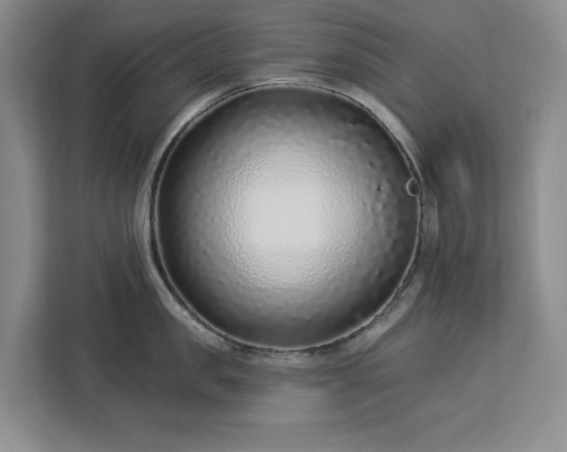 X0000112940957200908311446
