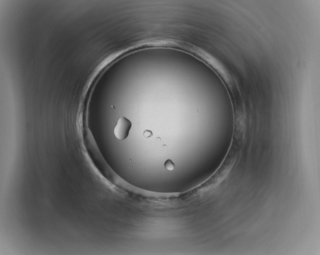 X0000112940959200908311446