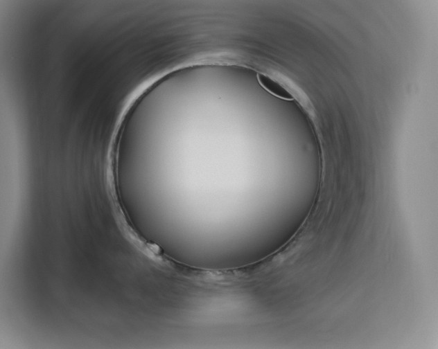 X0000112940960200908311446