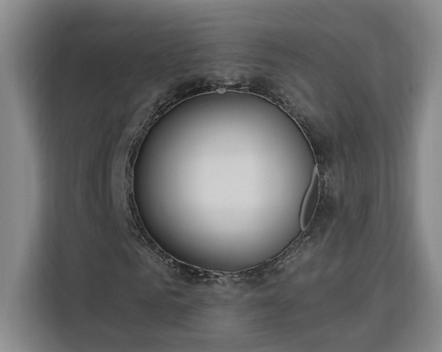 X0000112940961200908311446