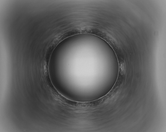 X0000112940963200908311446