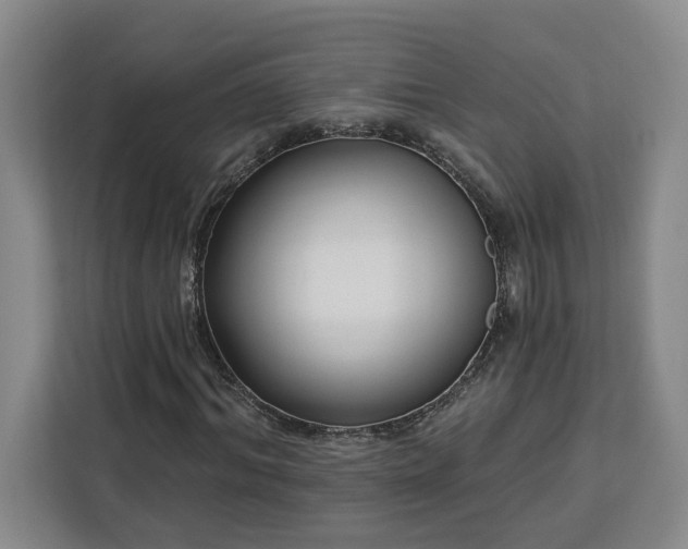 X0000112940964200908311446
