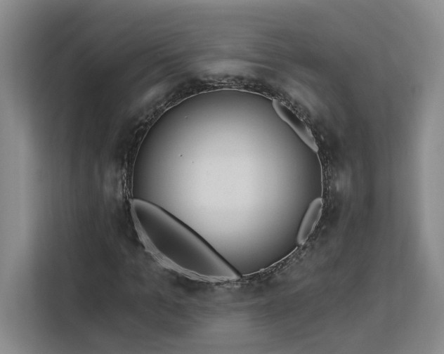 X0000112940965200908311446