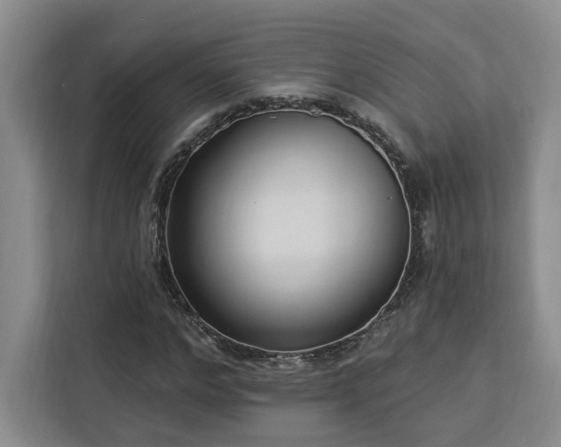 X0000112940968200908311446