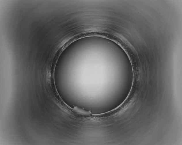 X0000112940969200908311446