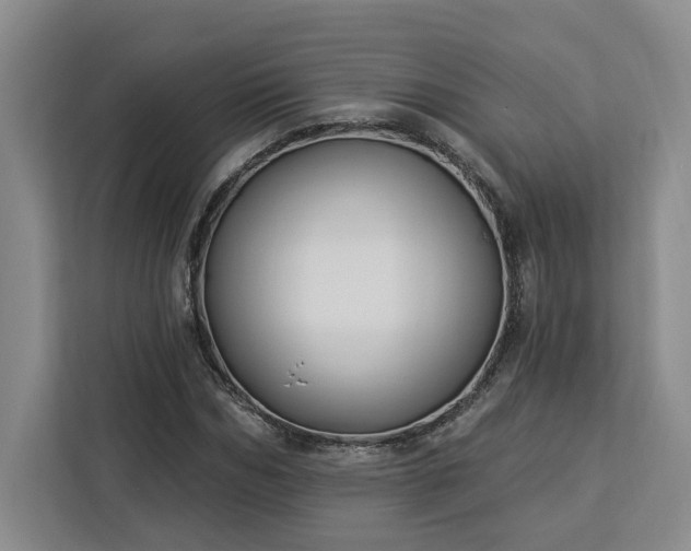 X0000112940970200908311446
