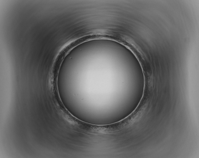 X0000112940971200908311446