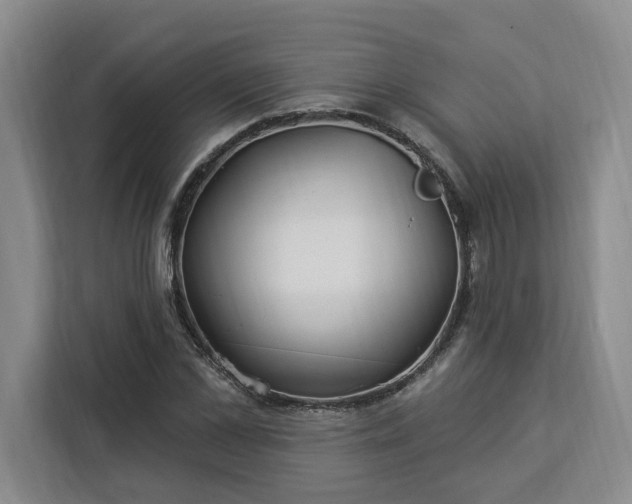 X0000112940973200908311446