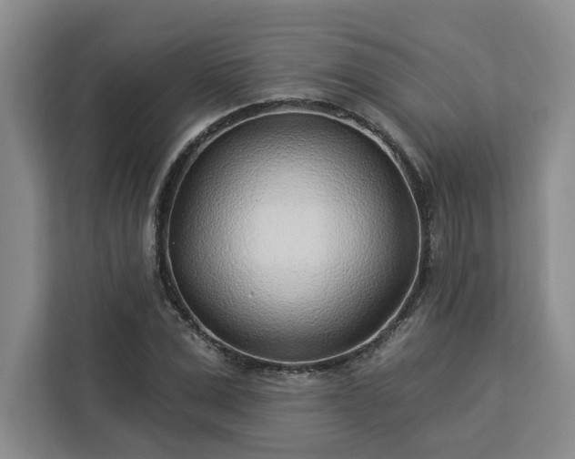 X0000112940975200908311446
