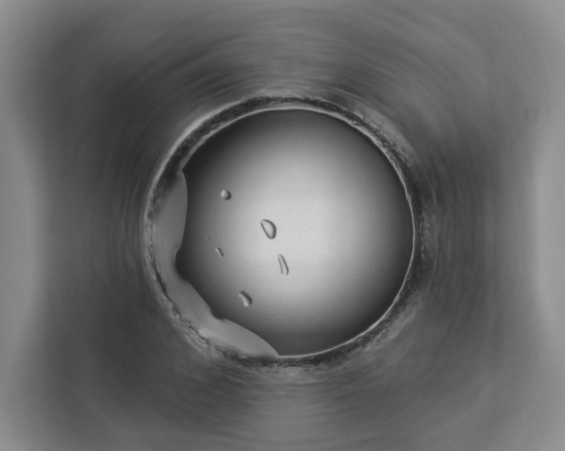 X0000112940976200908311446