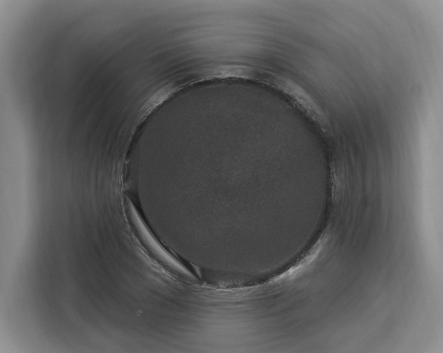 X0000112940977200908311446