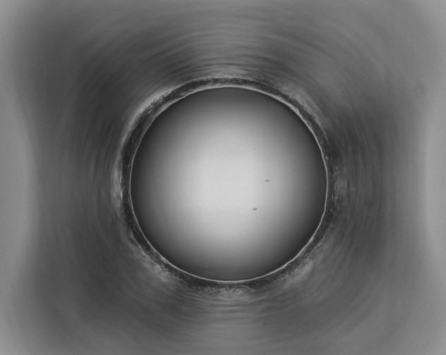 X0000112940979200908311446