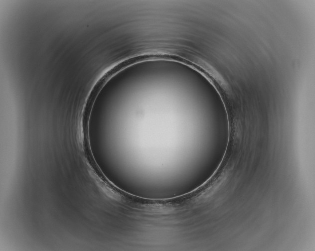 X0000112940980200908311446
